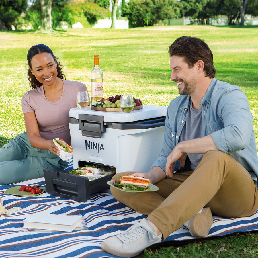 ninja frostvault 30qt28l wheeled cooler with dry zone slate grey fb230ukgy