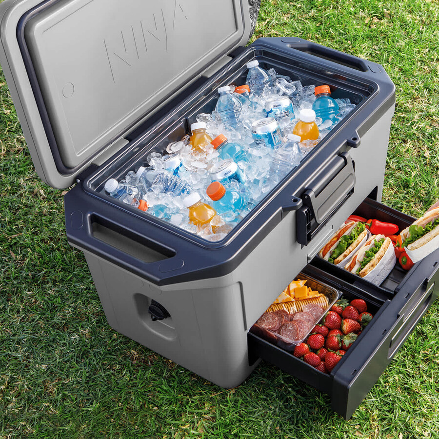 ninja woodfire xl electric bbq frostvault 47l cooler bundle