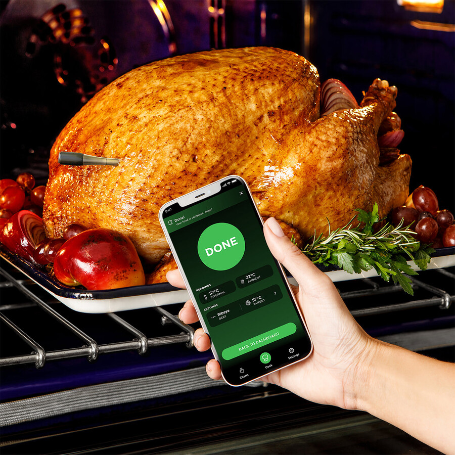 ninja prochef wireless thermometer wp100eu