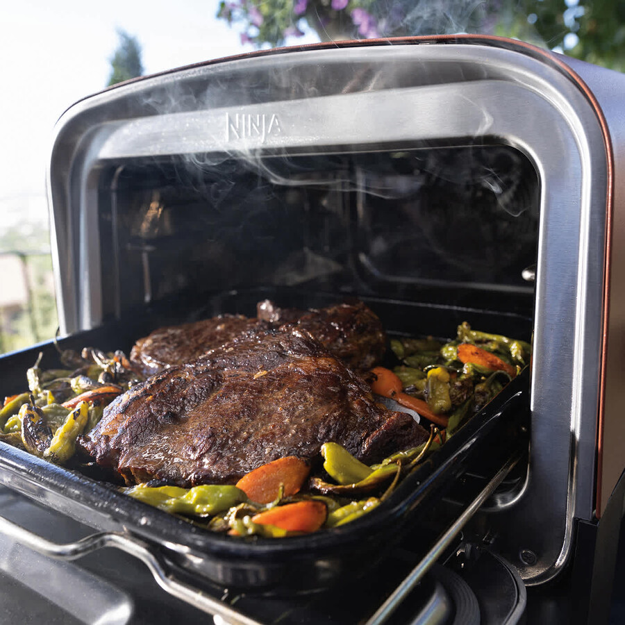 ninja woodfire electric outdoor oven artisan pizza maker and bbq smoker oo101uk