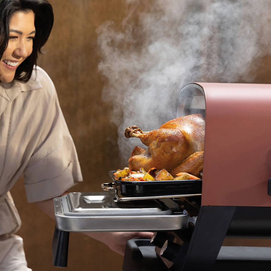 ninja woodfire outdoor oven artisan pizza maker and bbq smoker with stand cover